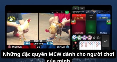 MCW – Đưa Bạn Vào Thế Giới Cá Cược Đá Gà Thú Vị!