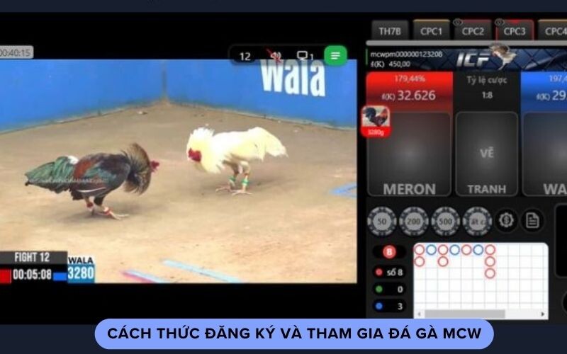 Cách thức đăng ký và tham gia đá gà mcw