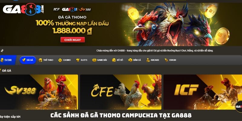 Các sảnh đá gà thomo Campuchia tại GA888